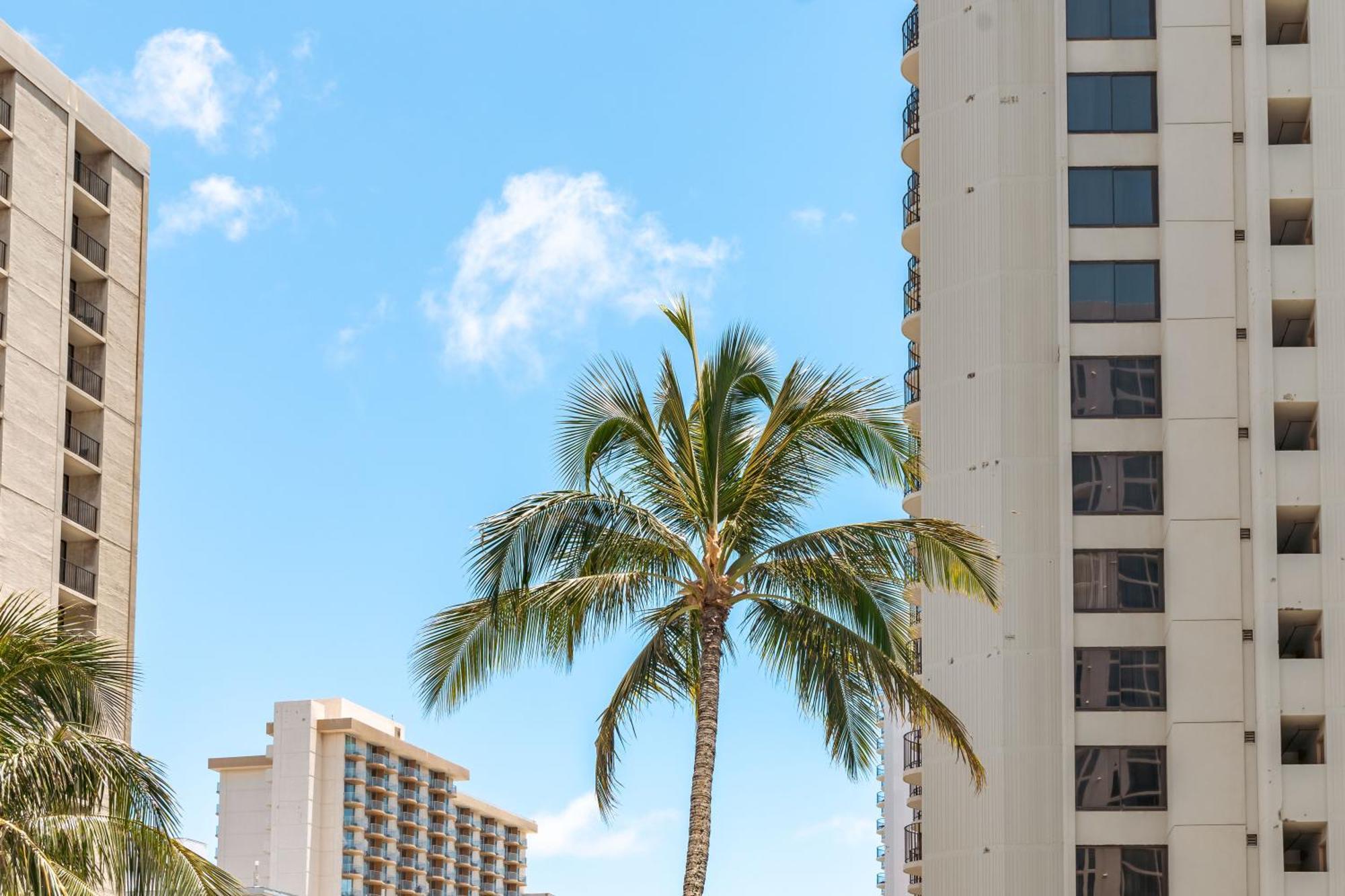 1Br With Great Ocean Views, 1 Block To Waikiki Beach Honolulu Luaran gambar
